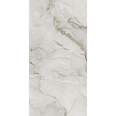 Alt tekst: Adel White Glans 60x120 cm vloertegels met wit marmer en grijze aders