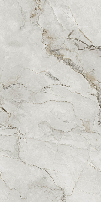 Adel White Glans 60x120 cm