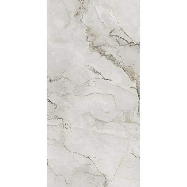 Alt tekst: Adel White Glans 60x120 cm vloertegels met wit marmer en grijze aders