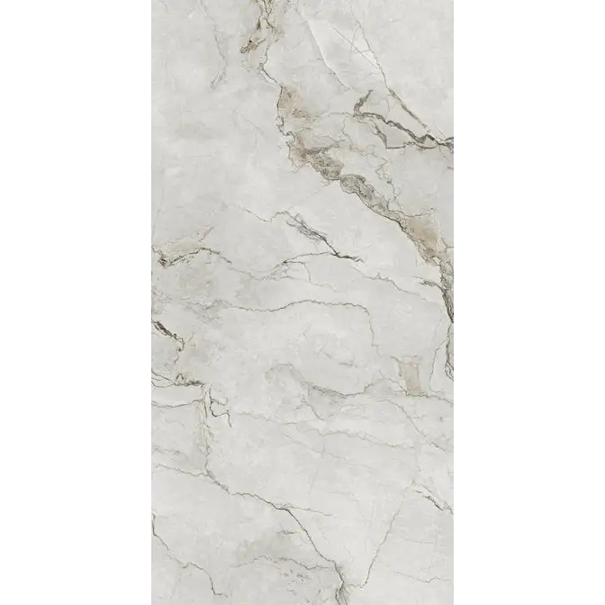 Alt tekst: Adel White Glans 60x120 cm vloertegels met wit marmer en grijze aders