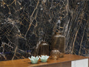 Black Golden Pulido 60x120 rett