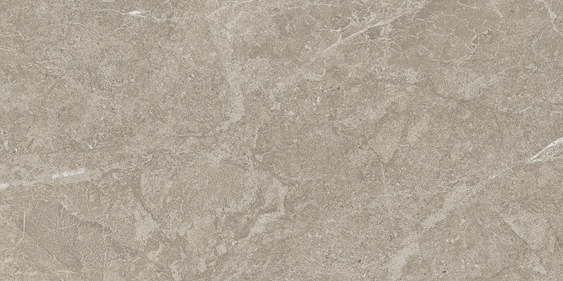 Duolith Fossil 30x60 rett