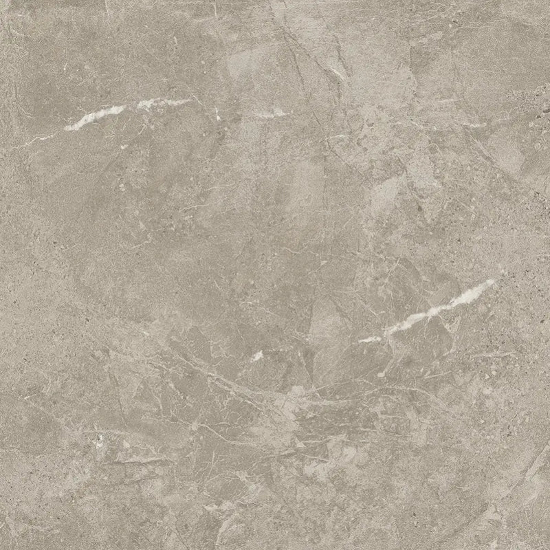 Grijze marmeren vloer met aderen en textuur, Duolith Fossil 60x60 rett vloer