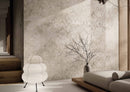 Rift Sand Vania decor 60x120 rett