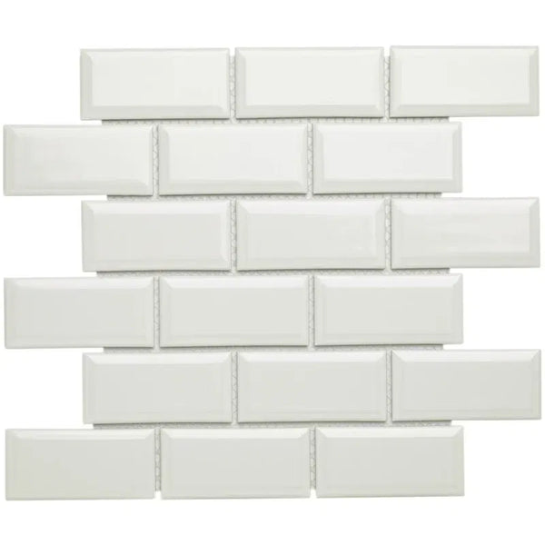 PAME100 White Glossy