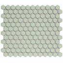 Mintgroene hexagonale mozaïek vloertegels in honingraatpatroon voor AFH23500