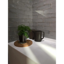 Zwarte mok op houten onderzetter naast een potted plant met Alchimia Pearl