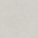 Lichtgrijze structuur oppervlak van Borneo Pearl 120x120 rett voor moderne ruimtes