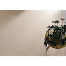 Een potted monstera plant met glanzende donkergroene bladeren op een licht houten ronde tafel bij borneo sand 100x100 rett