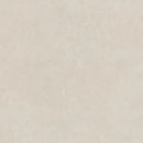 Textuur van een effen beige oppervlak van Borneo Sand 120x120 rett