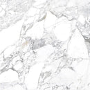 Wit en grijs marmer met natuurlijke aders in Bright Precious gepolijst 120x120 rett