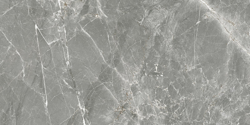 Fior di Bosco Marengo gepolijst 30x60 rett