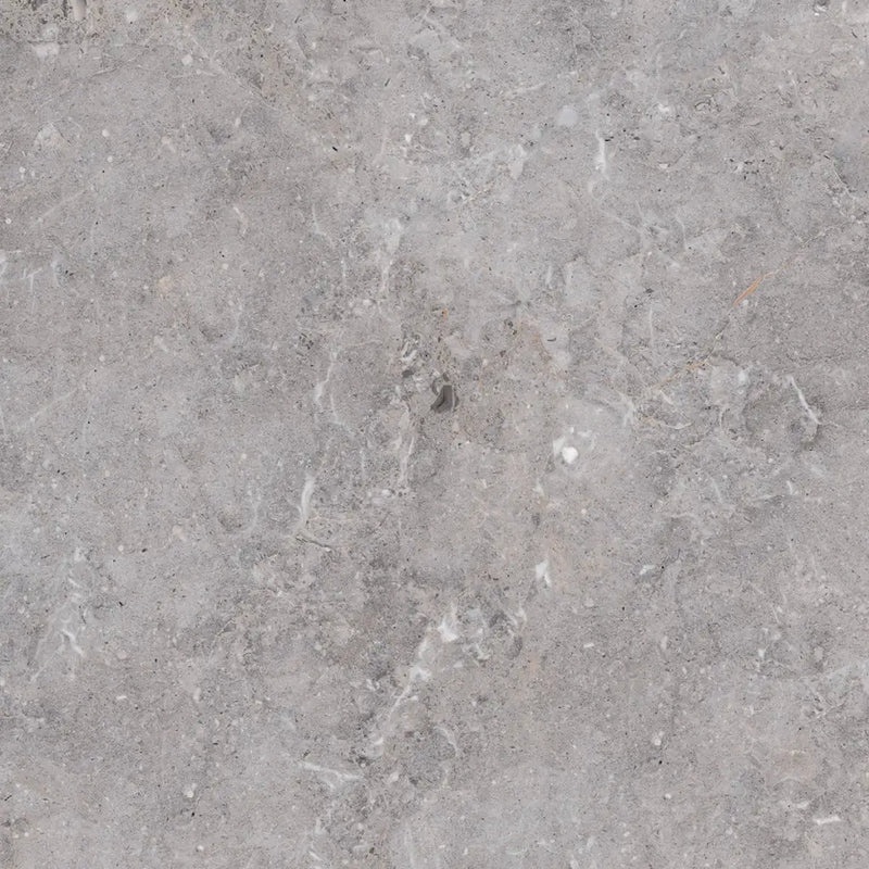 Grijze, gemêleerde betonvloer Golden Age Grey 60x60 rett voor modern interieurdesign