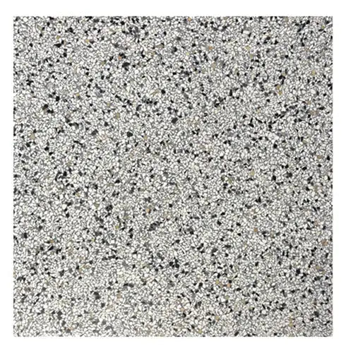 Speckled grey granite surface with black minerals in Granito Treviso 40x40 cm