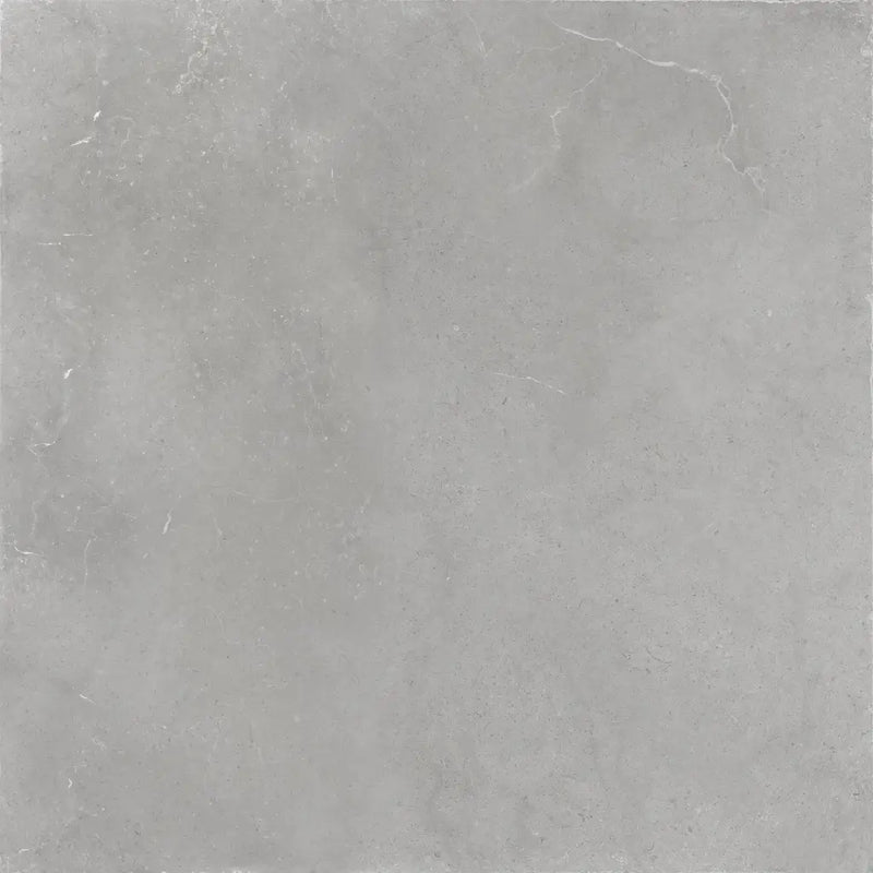 Gewoon grijze textuur met tonale variaties van Hollstone Opal 60x60 rett