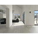 Moderne minimalistische woonkamer met sleek zwart meubilair en grote ramen, perfect met liceo white mat 100x100 rett tegel