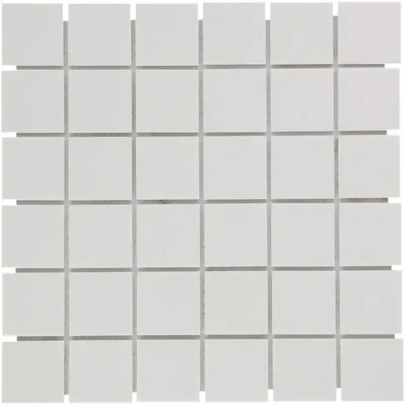 Lichtgrijze super white matt mosaik tegels met afgeronde randen voor LO1010S Super White Matt R11