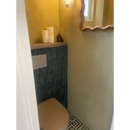 De lulu indian green toilet met een beige zitting staat tegen een donkere teal tegelmuur in een strakke moderne stijl