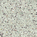 Lichtgroene Medley Terrazzo Leaf 60x60 rett tegel met kleurrijke aggregaat chips