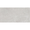 Grijze textuur met gemêleerd patroon van Midtown Pearl R9 30X60 vloertegels