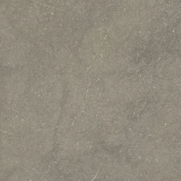 Grijze gestructureerde steen met marmering, ideaal voor Munich Taupe 60x60 rett