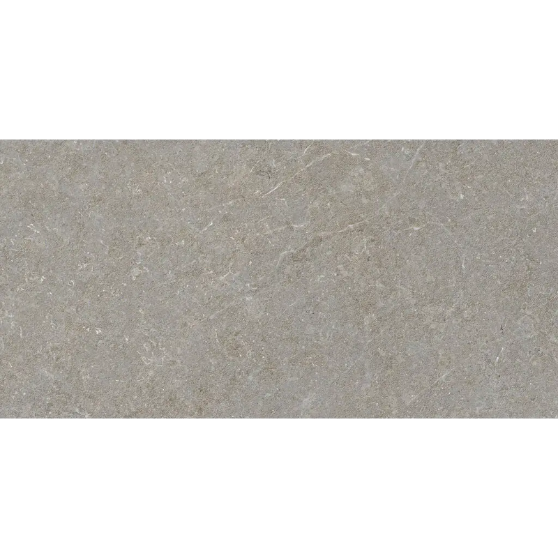 Gray stone tile with subtle veining and matte finish from mytos greige 60x120 rett collection