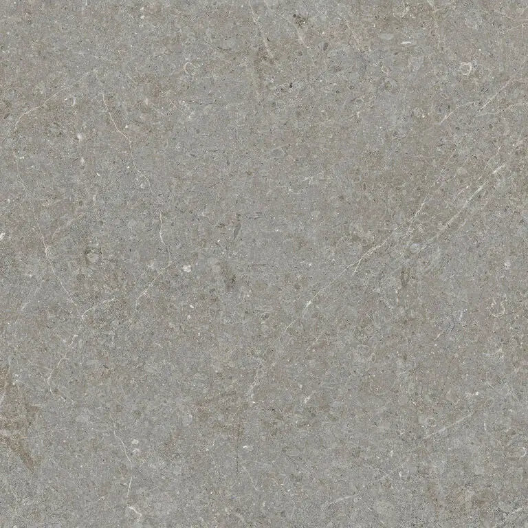 Gray stone tile with subtle veining and matte finish in mytos greige 60x60 rett style