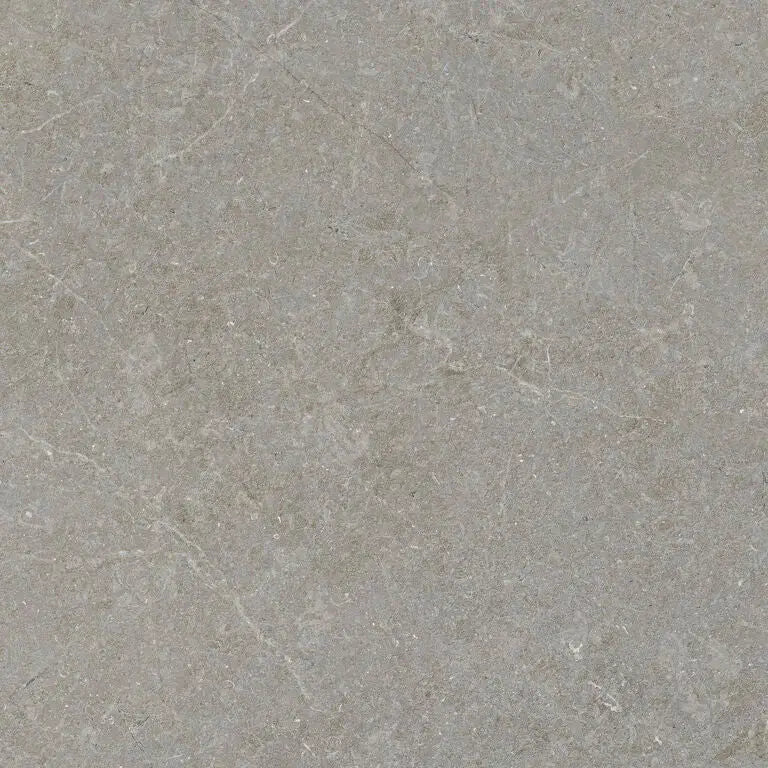Greige 90x90 rett grijze steentegel met subtiele aders en matte afwerking geschikt voor vloeren en wanden