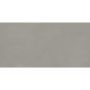 Effen grijze betonnen muur met een gladde textuur, Neutra Pearl 60x120 keramische tegel