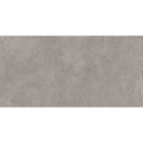 Stevig grijs rechthoekig oppervlak met gemêleerde structuur van Nexus Pearl 60x120