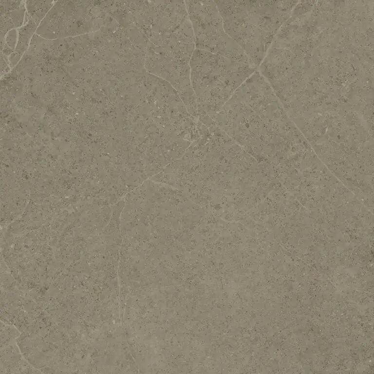 Grijze-bruin gestructureerde oppervlakte met fijne adering van Norwich Taupe 60x60 rett