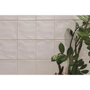 Groene bladeren van een plant in een pot met Oud Hollandse Witjes Wit 13x13