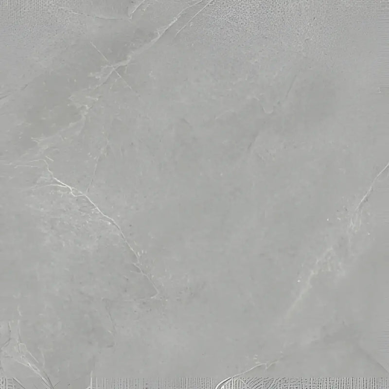 Grijze steenlooktegel met subtiel aderen, Pacific Grey 60x60x2cm