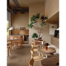 Potted indoor plant with tropical leaves for Plein Air Nut 20x180 Rett décor