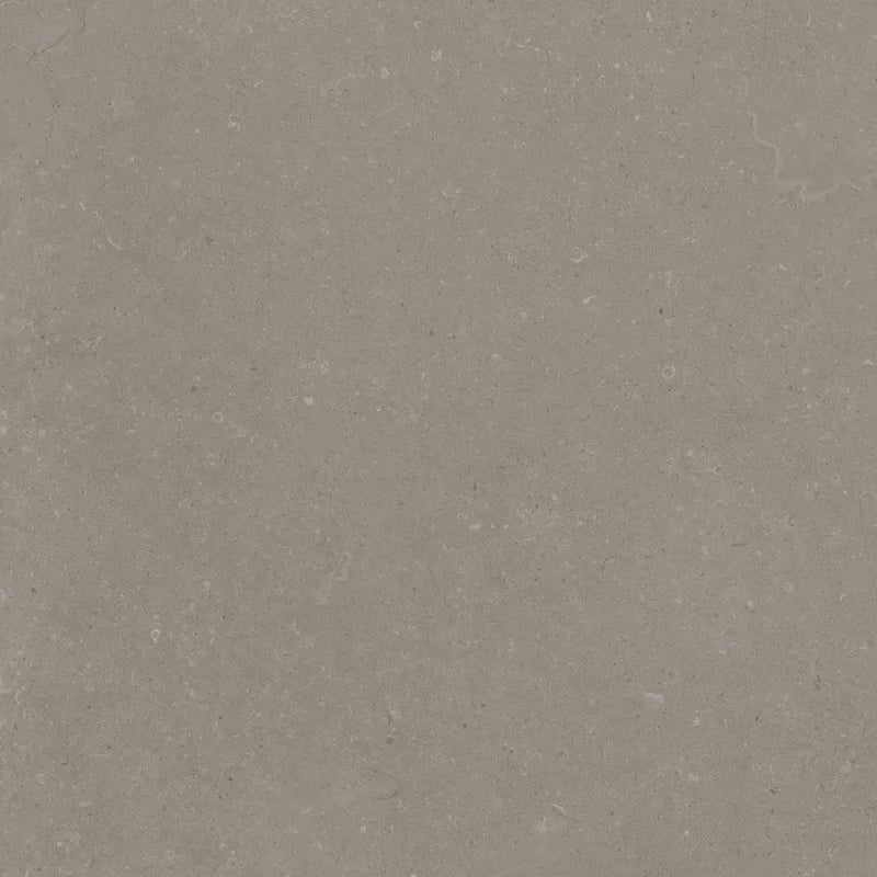 Grijze rift greige 60x60 rett tegel met subtiele natuurlijke aders en mat oppervlak voor vloeren of wanden