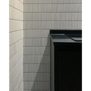 Witte glossy muur met donkere deur in SEF12100 vloertegels stijl