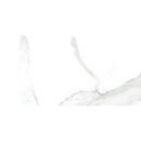 Witte marmer met subtiele grijze adering, Statuario Glans 30x60 Rett tegel