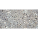 Ruwe grijze terrazzo met witte, zwarte en heldere aggregate in Stone Grey 60x120 rett