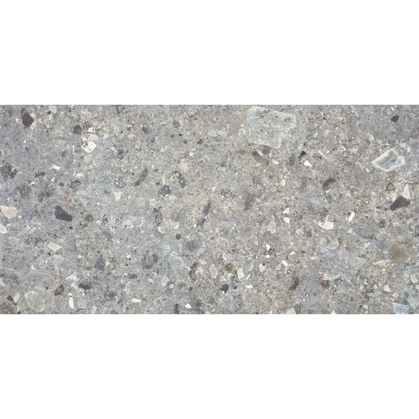 Ruwe grijze terrazzo met witte, zwarte en heldere aggregate in Stone Grey 60x120 rett