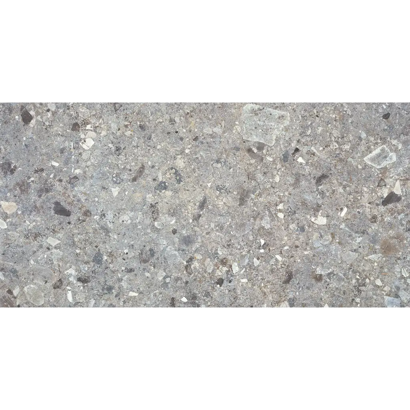 Ruwe grijze terrazzo met witte, zwarte en heldere aggregate in Stone Grey 60x120 rett