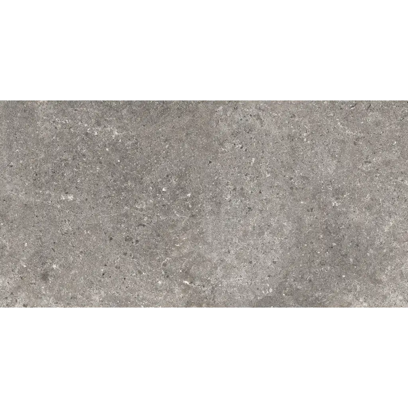 Ruwe grijze betonnen oppervlak met gemêleerde textuur van Stoneland Grey mat 60x120 rett