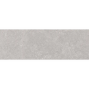 Gray concrete surface of Stoneland Pearl wandtegel 40x120 rett, industrial look