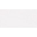 Terrastegel Concorde White met een gladde witte rechthoekige oppervlakte van 60x120