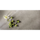 A cluster of fresh green limes on a textured gray terrazzo surface resembling terrastegel crema luna mist 90x90 rett