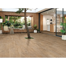 Terrastegel Nebraska Elm met modern eikenhout uiterlijk 30x120,5 cm voor stijlvolle vloeren