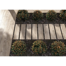 Houten pad met decoratieve struiken naast Terrastegel Nebraska Maple 30x120