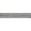 Gray wood-textured plank showcasing natural grain patterns of Terrastegel Padouk Grey