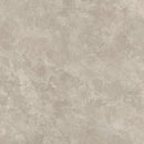 Mottled beige and gray texture of Vento Del Sud Tortora 80x80 rett stone surface