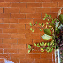 Zelliges Alhambra Bejmat 47 Bronze 5x15 cm