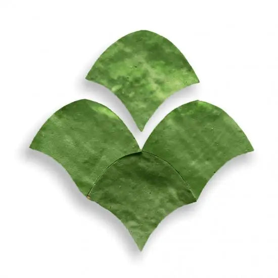 Groene bladvormige keramische tegels coasters met glansafwerking, Zelliges Alhambra Vert Printemps